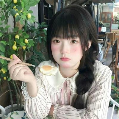 嘉南传